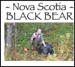 Nova Scotia Black Bear (page 117) Issue 86 (click the pic for an enlarged view)